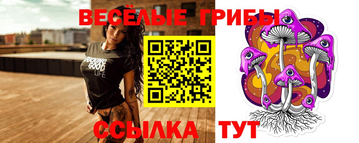 Псилоцибиновые грибы MAGIC MUSHROOMS Зеленокумск